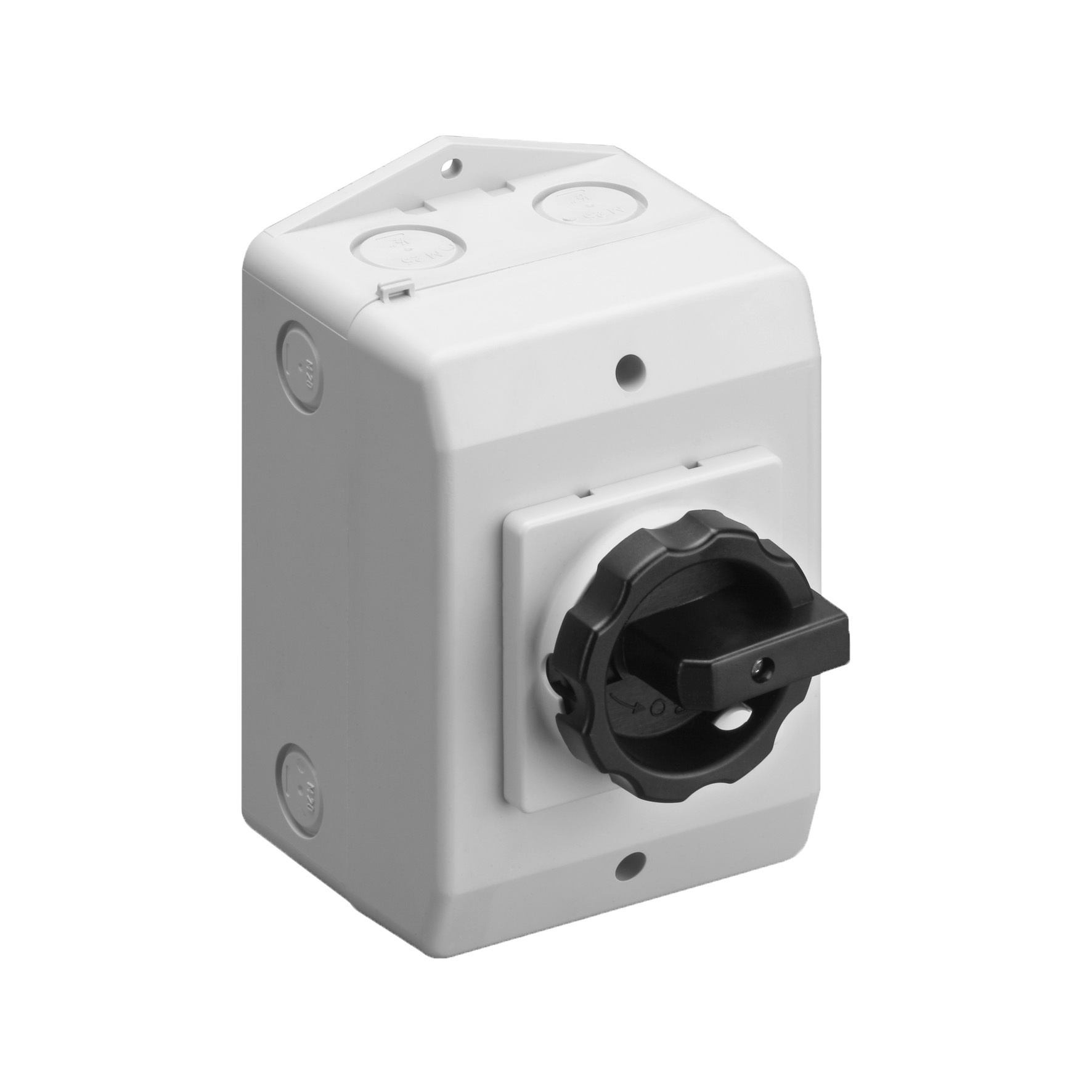 Werkschakelaar 25A 4P Opbouw IP65
